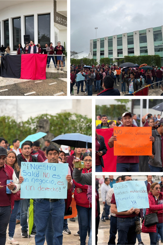 Collage de Fotos Mujer Moda Creativo Ordenado Colores Pastel